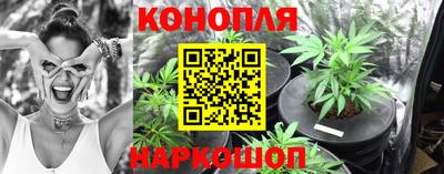 кокс Нальчик