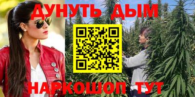 кокс Нальчик