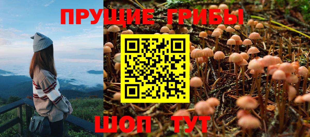 Псилоцибиновые грибы MAGIC MUSHROOMS  Галлюциногенные грибы Cubensis  Чернушка  Вход с VPN 