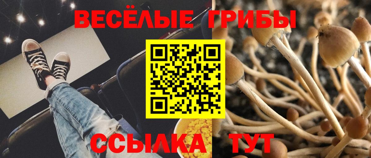 Галлюциногенные грибы мухоморы Чернушка